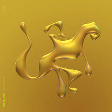 Load image into Gallery viewer, Jimmy Edgar - Cheetah Bend
