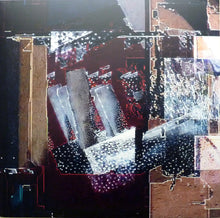 Load image into Gallery viewer, Venetian Snares x Daniel Lanois : Venetian Snares x Daniel Lanois (LP,Album)
