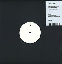 Load image into Gallery viewer, Nathan Fake : Degreelessness (12&quot;,45 RPM)
